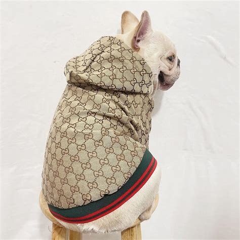 gucci dog black crew neck|gucci dog coats.